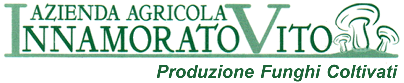 Azienda Agricola Innamorato Vito